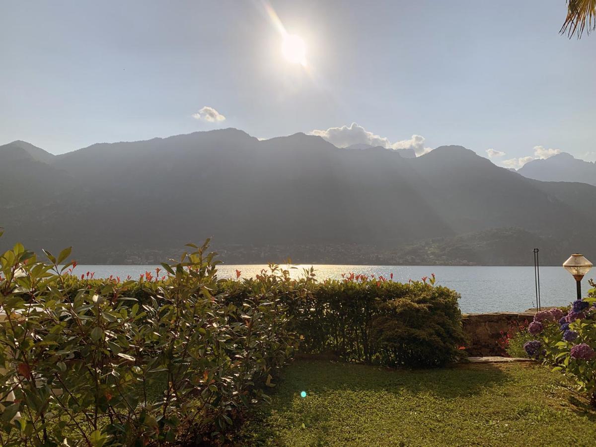 Terrace On The Lake Apartment Oliveto Lario Ngoại thất bức ảnh